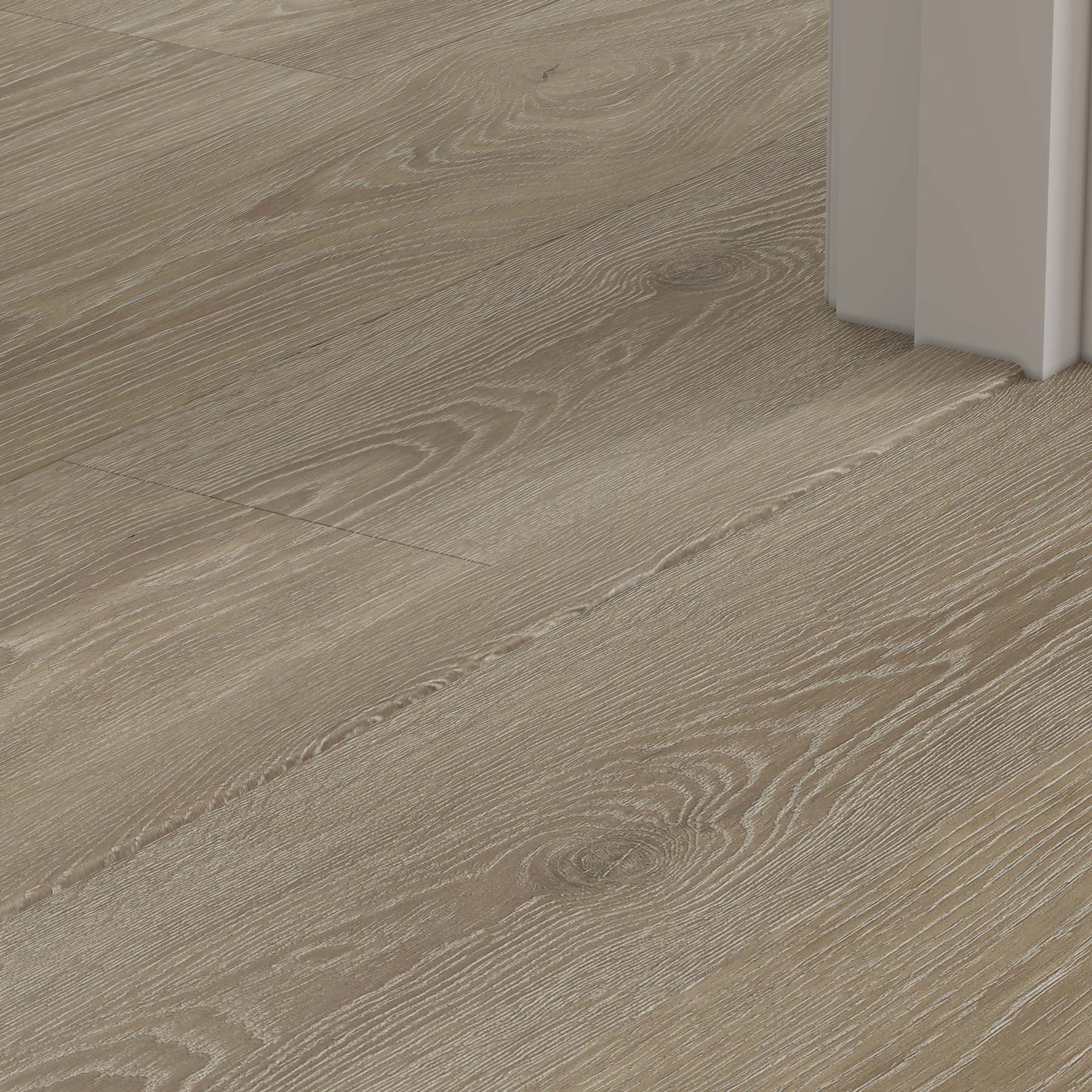 London Plane 1.2m T Profile