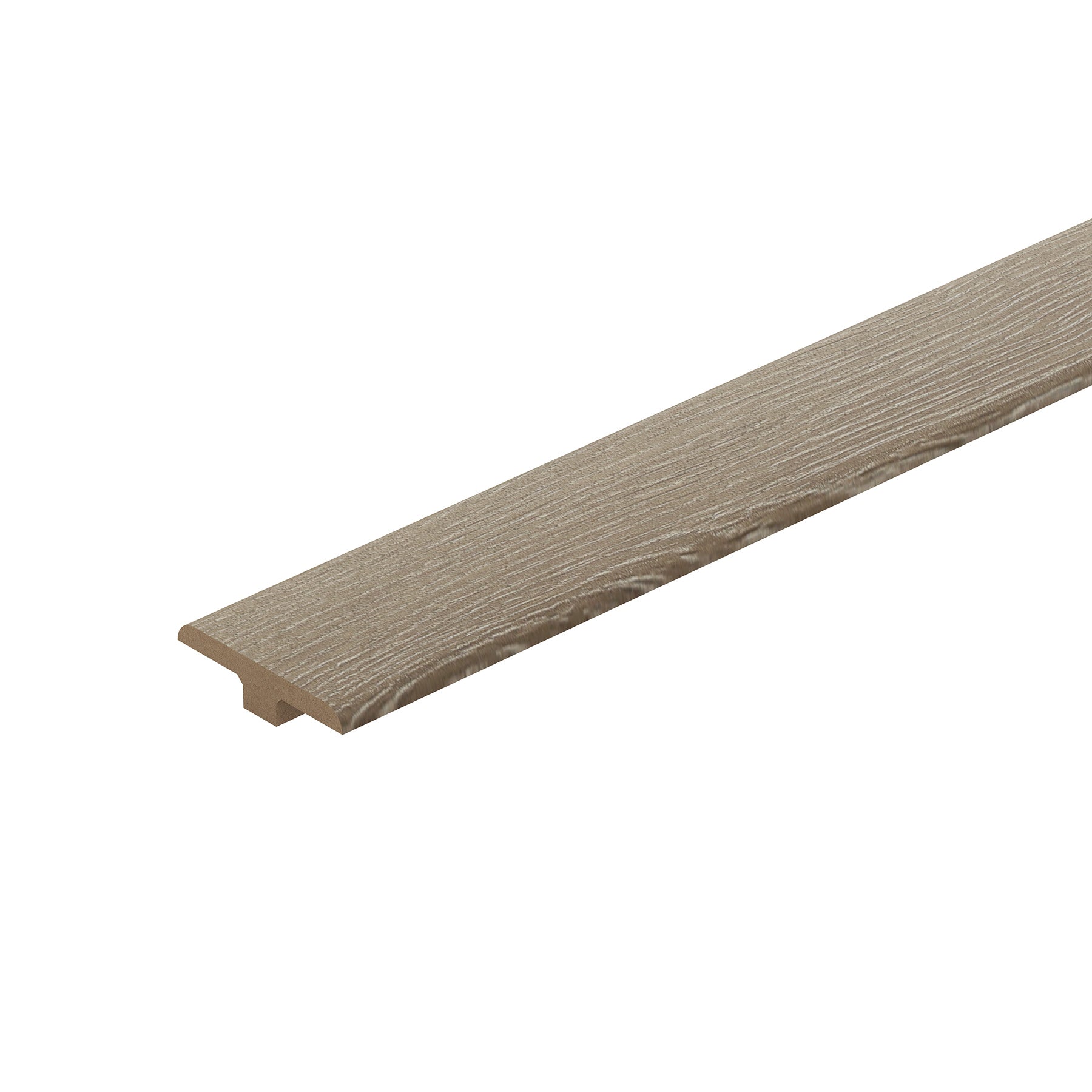 London Plane 1.2m T Profile