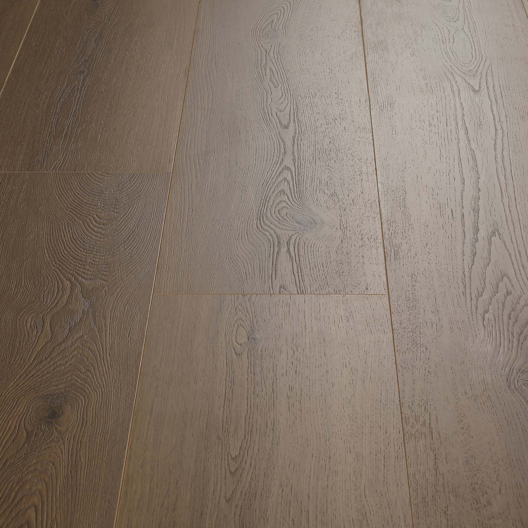 Castanea Nut 14mm